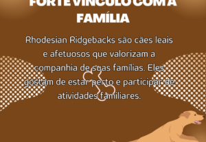 Eu vou Mudar a visão do seu Instagram profissional