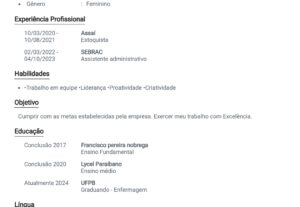 Eu vou fazer curriculos profissionais para você