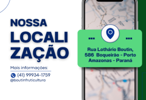 Eu vou criar seus post do Instagran