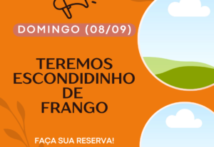 Eu vou cuidar de imagens e publicações para sua empresa.