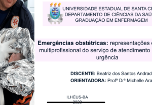 Eu vou Fazer Apresentação em slides