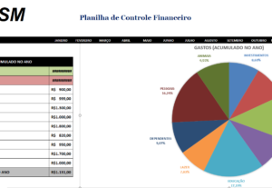 Eu vou organizar os teus dados em planilha excel.
