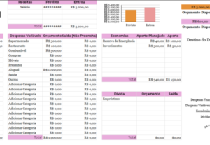 Eu vou organizar suas planilhas do Excel