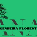 Eu vou fazer sua logo e muito mais