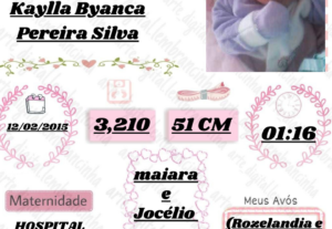 Eu vou Fazer o seu cartaz de festividade ou seu convite