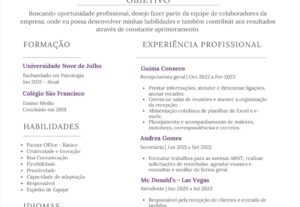 Eu vou fazer o seu currículo