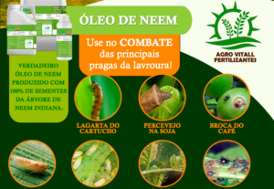 Eu vou fazer o flyer para o seu negócio