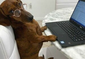Eu vou diagramar e revisar seus trabalhos acadêmicos.