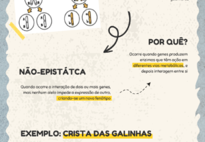 Eu vou fazer Infográfico, Banner do jeito que desejar