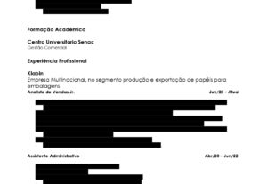 Eu vou montar um Currículo para você.