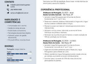 Eu vou criar seu curriculo profissional em ate 24 h.