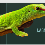 Eu vou fazer seu resumo, mapa mental ou apresentação de slid...