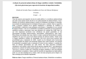 Eu vou formatar seu trabalho nas normas da abnt