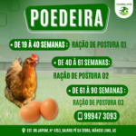 Eu vou criar artes incríveis para você.