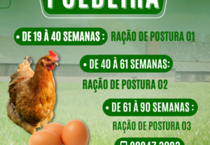 Eu vou criar artes incríveis para você.