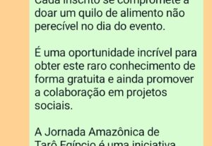 Eu vou escrever uma redação de até 40 linhas.