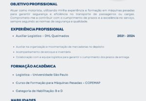 Eu vou criar ou revisar seu currículo de forma Profissional