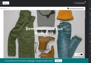 Eu vou fazer um site para sua loja/empresa.