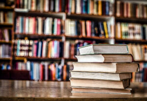 Eu vou traduzir livros, textos, artigos etc
