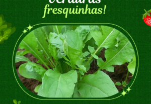 Eu vou fazer o melhor desing gráfico .