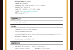 Eu vou Digitar e entregar em até 24 horas