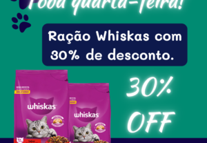 Eu vou fazer 5 criativos para suas redes sociais