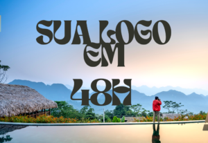 Eu vou criar ou melhorar sua logo em até 48h