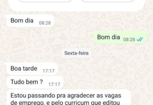 Eu vou fazer seu currículo profissional