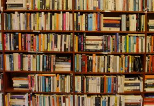 Eu vou traduzir textos, revisar textos, digitar textos.