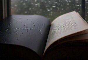 Eu vou criar um poema ou poesia autoral.