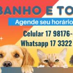 Eu vou Criar arte  para marketing digital - Redes sociais