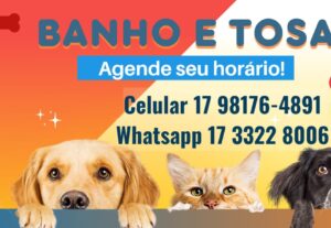 Eu vou Criar arte  para marketing digital - Redes sociais
