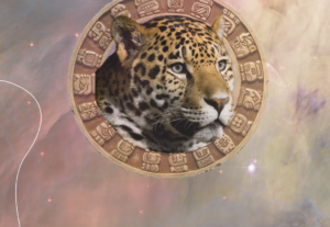Eu vou Criar sua identidade visual linda e atrativa