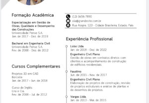 Eu vou fazer um currículo seguindo os padrões de apresentaçã...