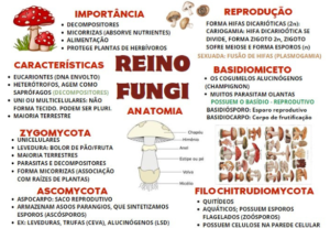 Eu vou criar seu powerpoint, capa ou trabalho acadêmico.