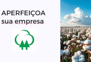Eu vou fazer sua apresentação de slides.