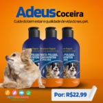 Eu vou Fazer o Post e story para a sua marca ou comércio