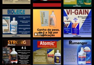 Eu vou criar logos e artes para negócio em até 2horas