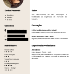 Eu vou fazer seu currículo profissional para você se destaca...