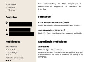 Eu vou fazer seu currículo profissional para você se destaca...
