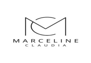 Eu vou criar seu logotipo profissional em um dia
