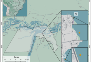 Eu vou fazer o seu mapa temático no Qgis e ArcGis