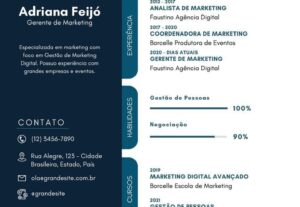 Eu vou fazer um currículo profissional para você