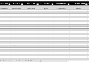 Eu vou Elaborar uma planilha para acompanhamento e desempenh...