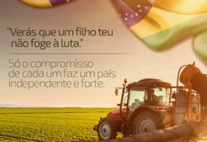 Eu vou editar vídeos em formato de reels