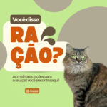 Eu vou editar seus posts, criando um instagram profissional