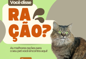 Eu vou editar seus posts, criando um instagram profissional