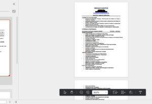 Eu vou criar e revisar currículos.