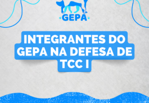 Eu vou fazer sua apresentação de slides.