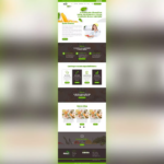 Eu vou criar um site profissional para sua empresa